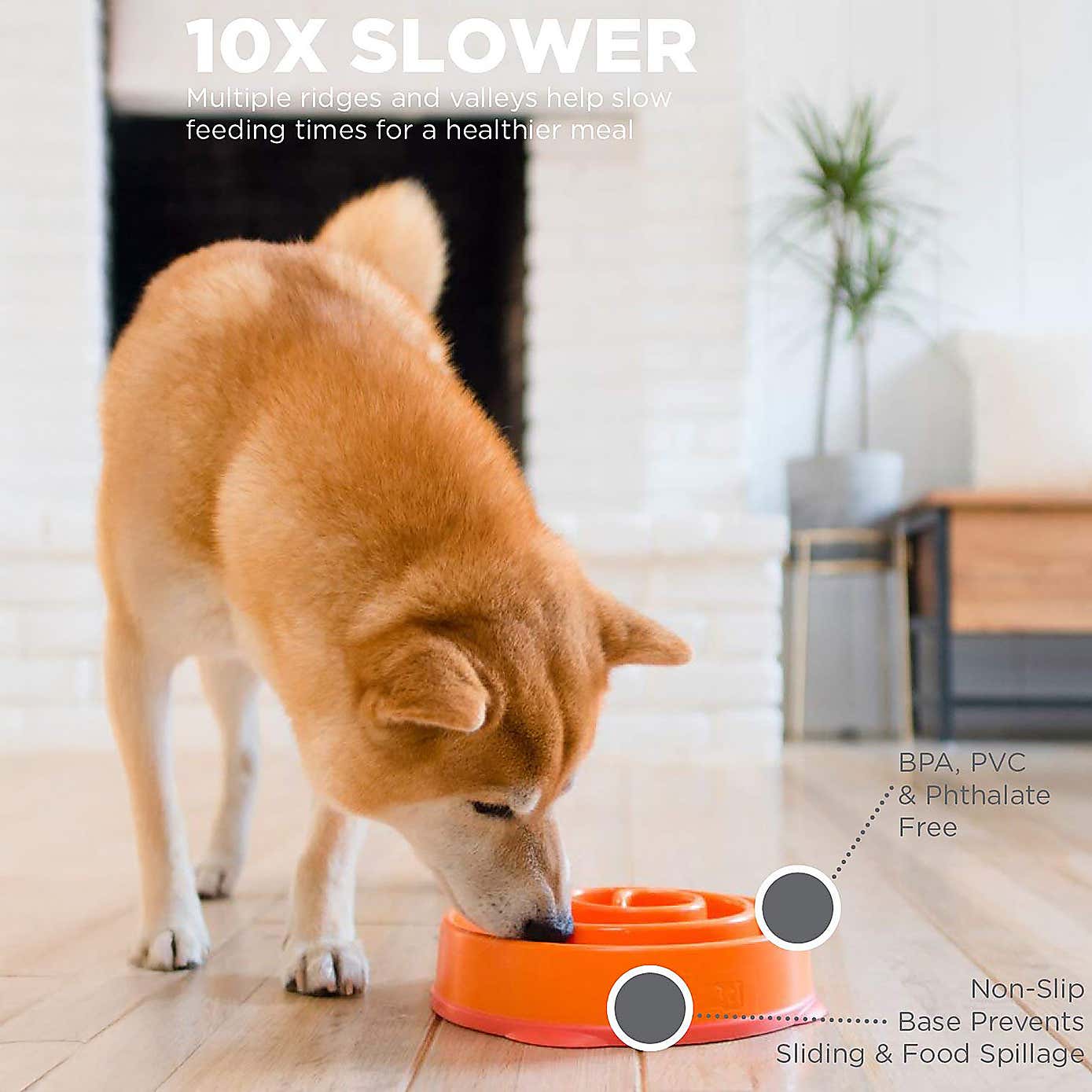 Rosewood Fun Feeder Swirl Pet Bowl