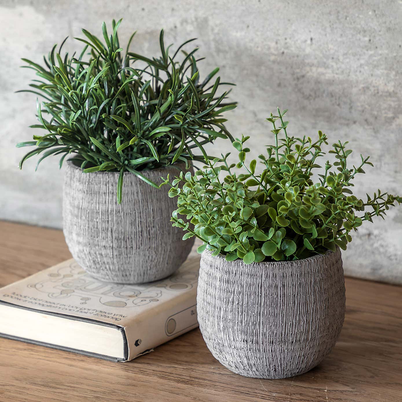 Set of 2 Articial Rosemary Plants in Ceramic Pots