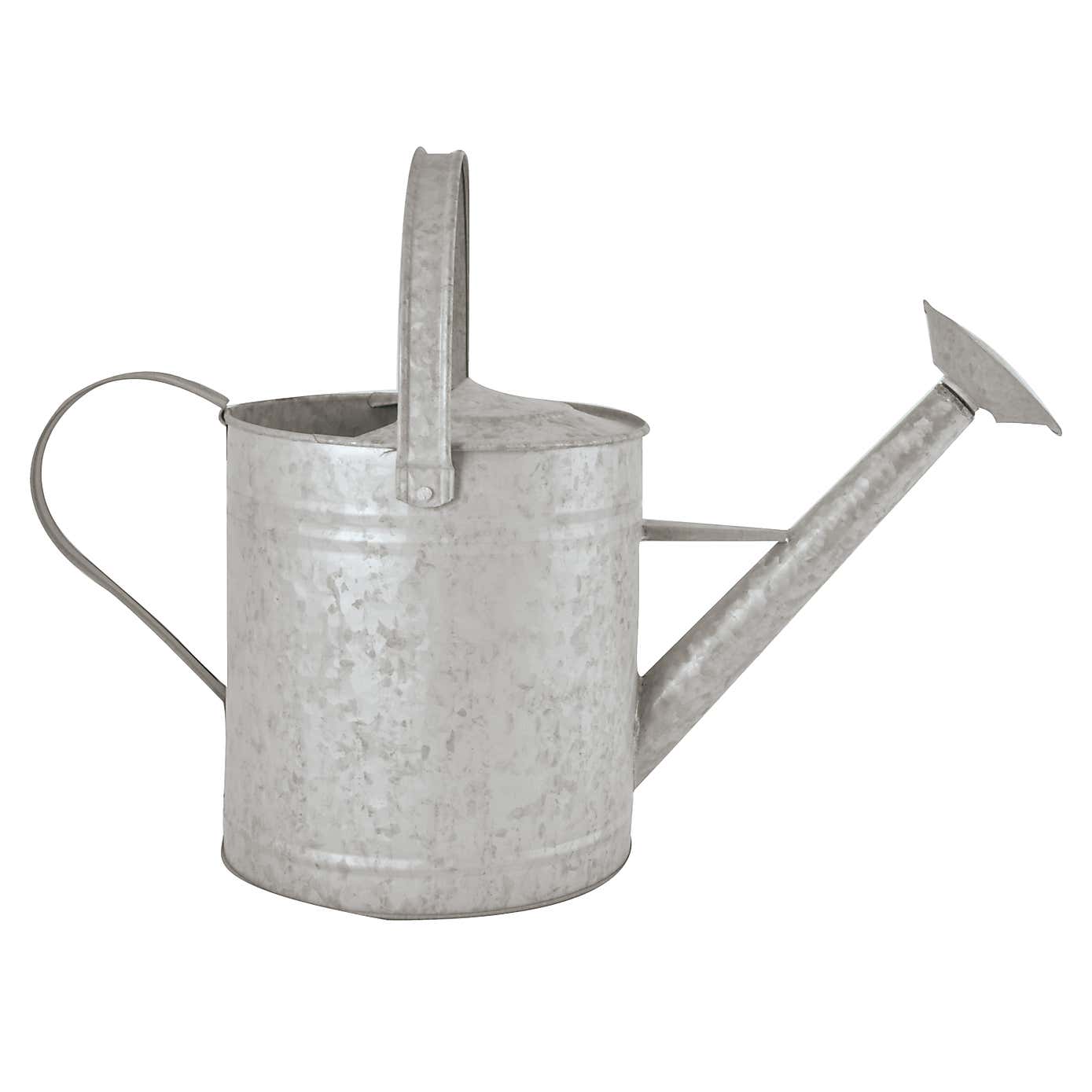 Fallen Fruits Old Zinc Watering Can