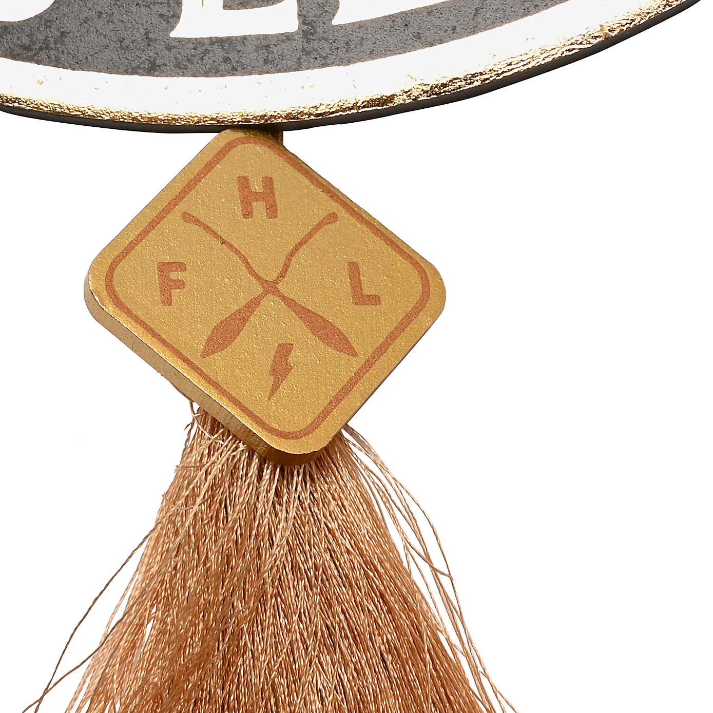 Harry Potter Flying Lesson Hanging Plaque