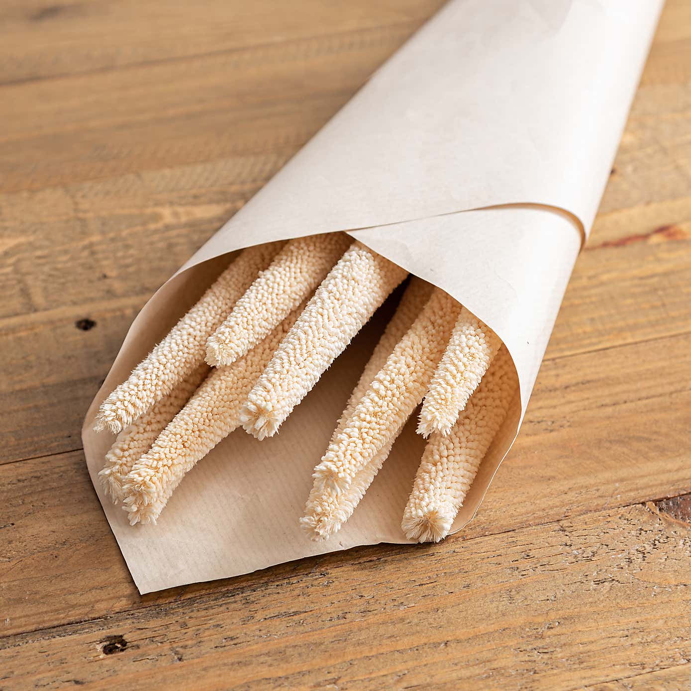 10 Dried Babala Stems Bleached Bundle
