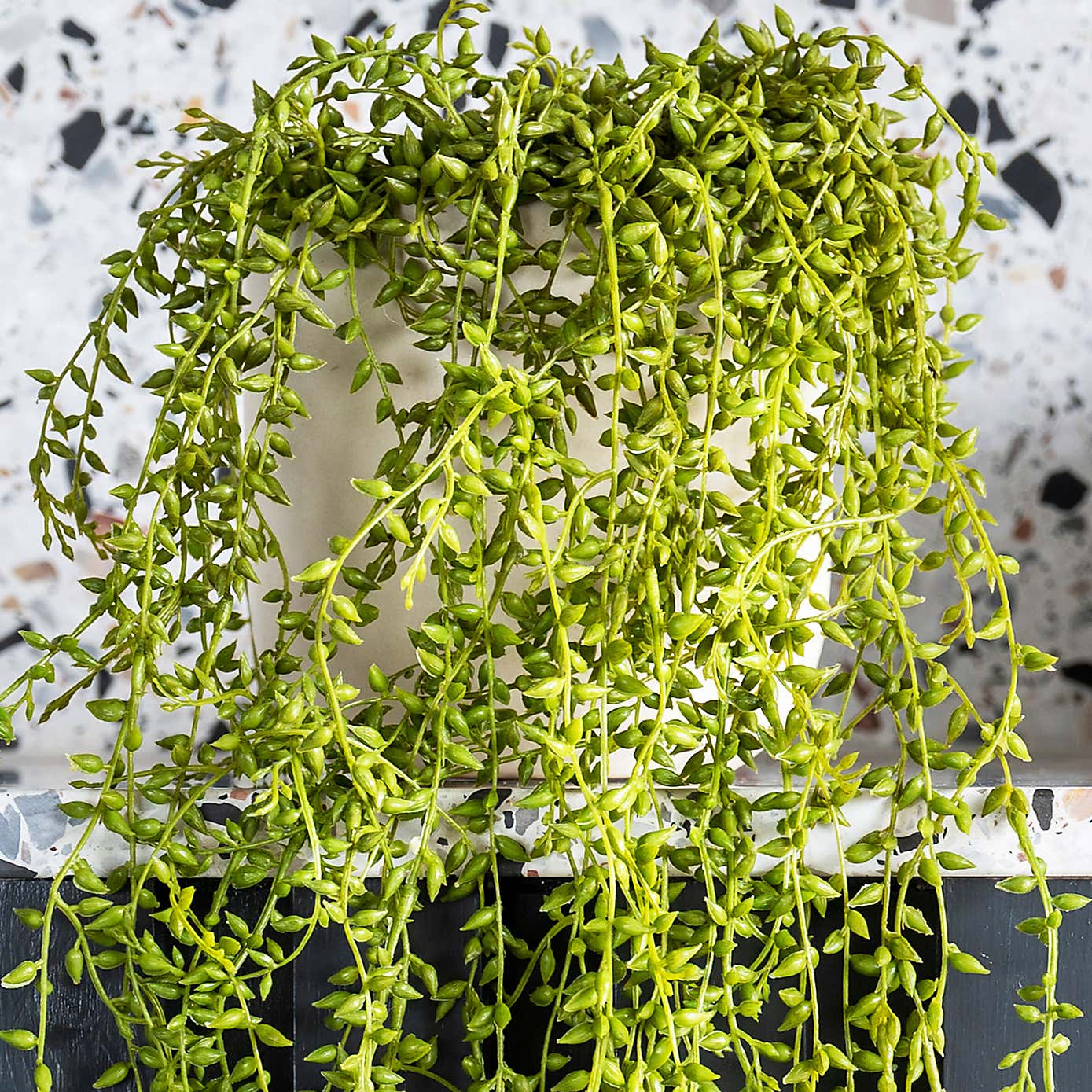 Artificial Hanging String of Pearls