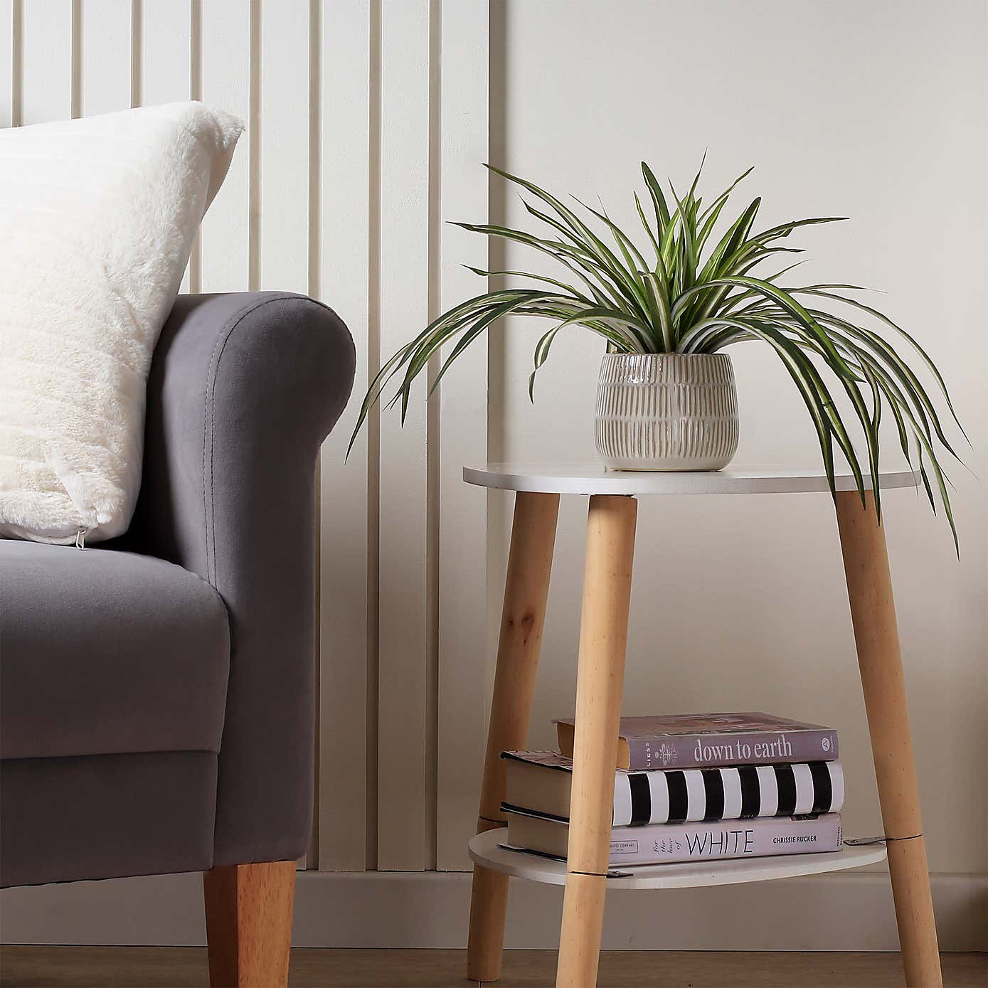 Artificial Set of 2 Spider and Eucalyptus Plants in Ribbed Ceramic Plant Pots