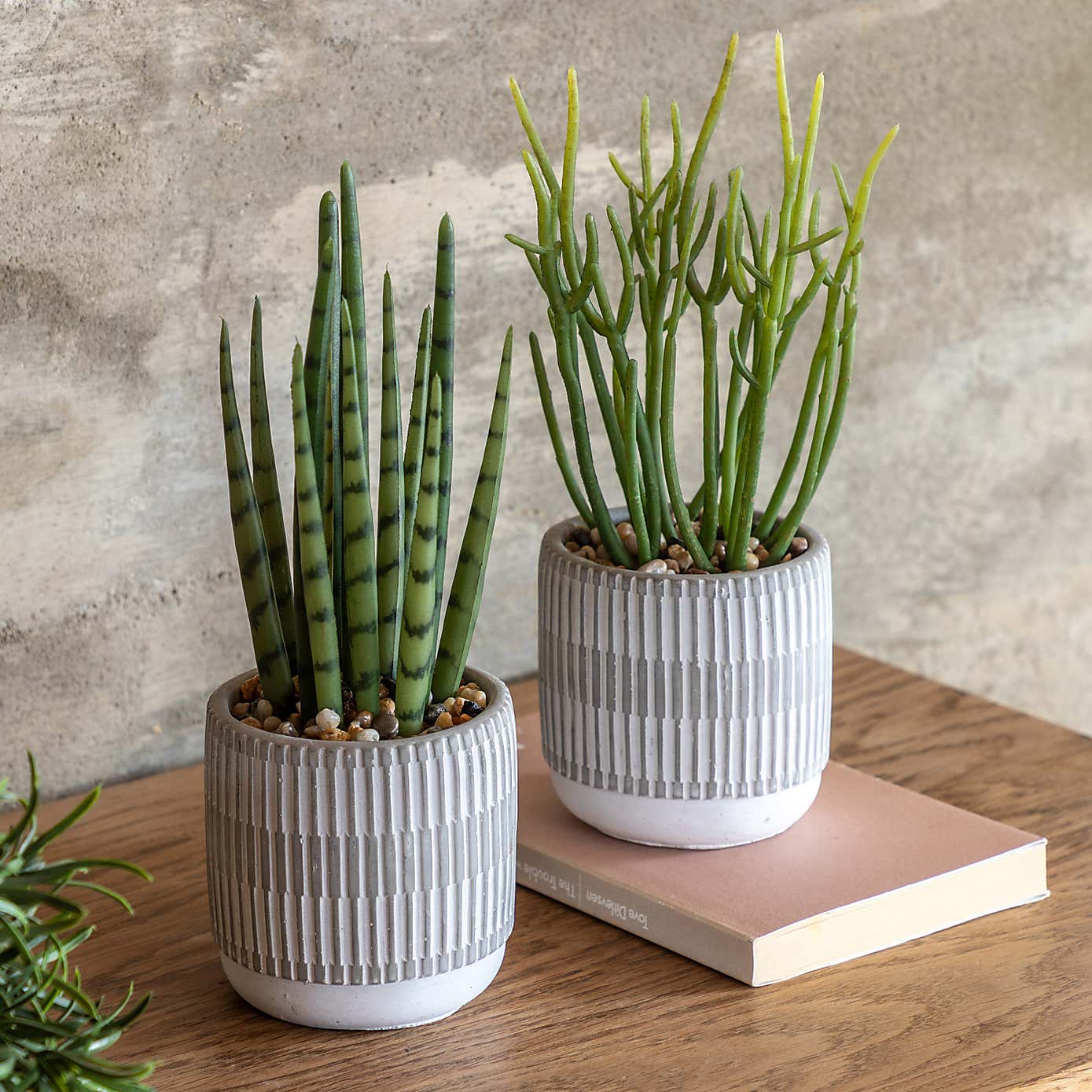 Set of 2 Artificial Succulents in Ceramic Pots