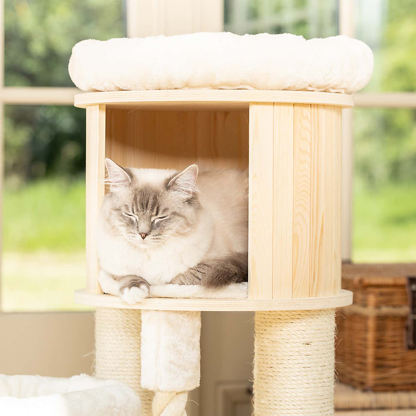 Lords and Labradors The Loft Cat Scratch Post