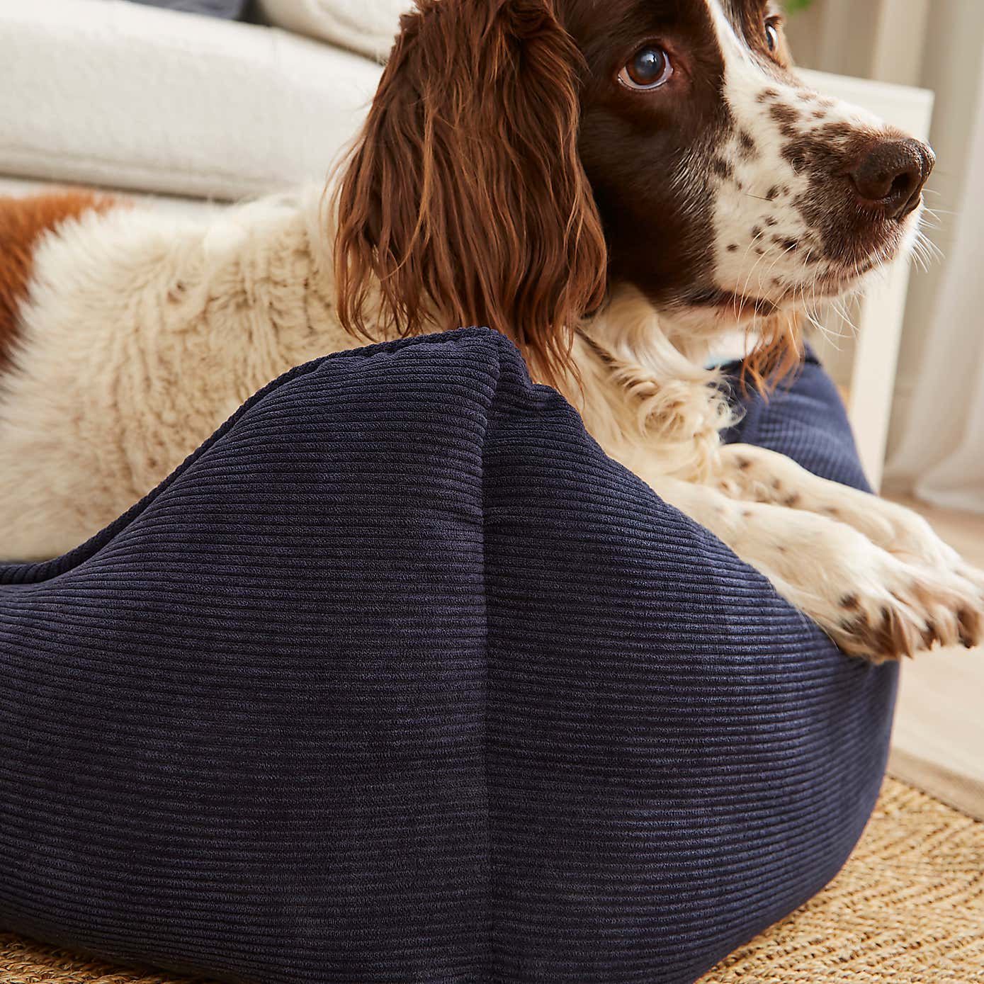 Cord Box Pet Bed