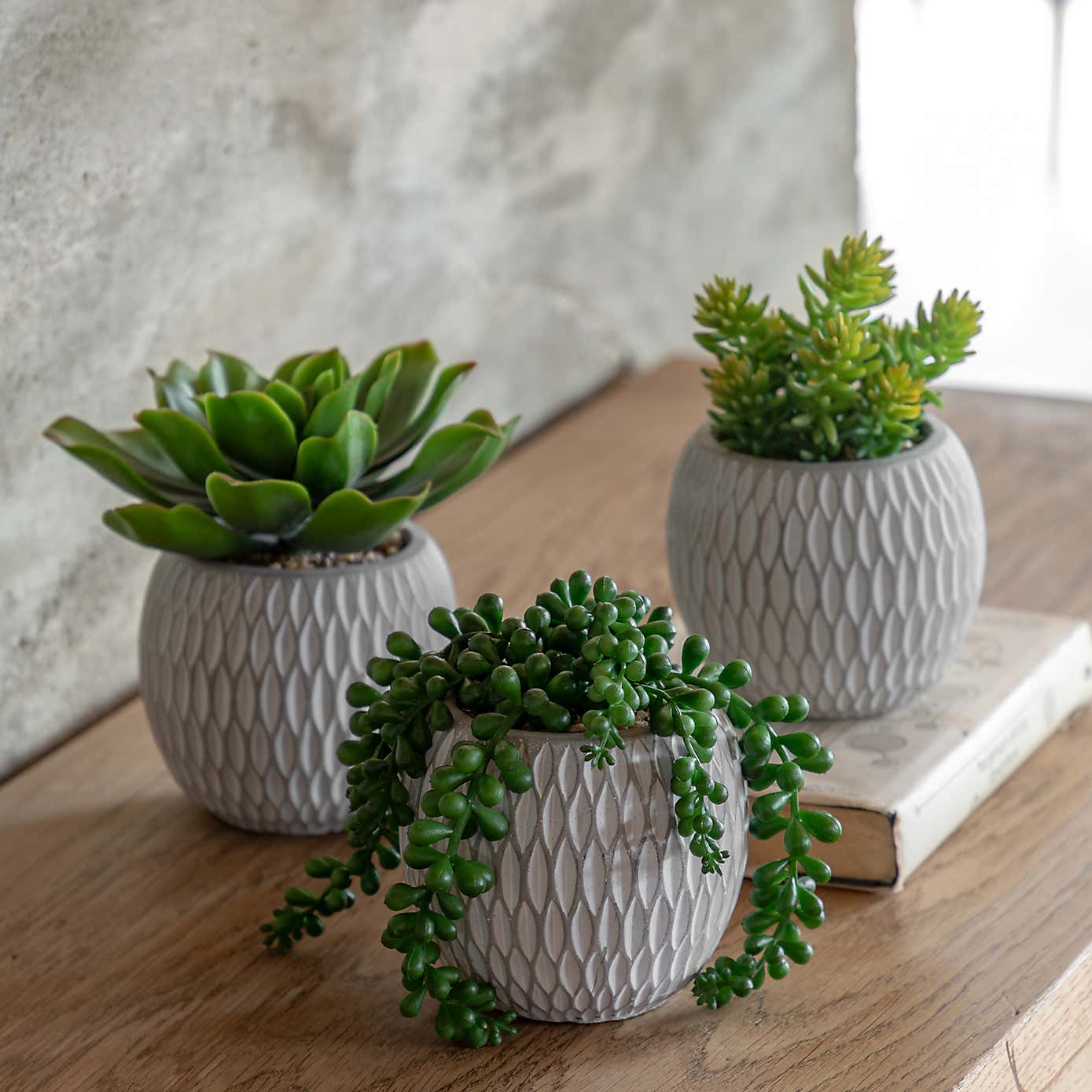 Set of 3 Artificial Succulents in Ceramic Pots