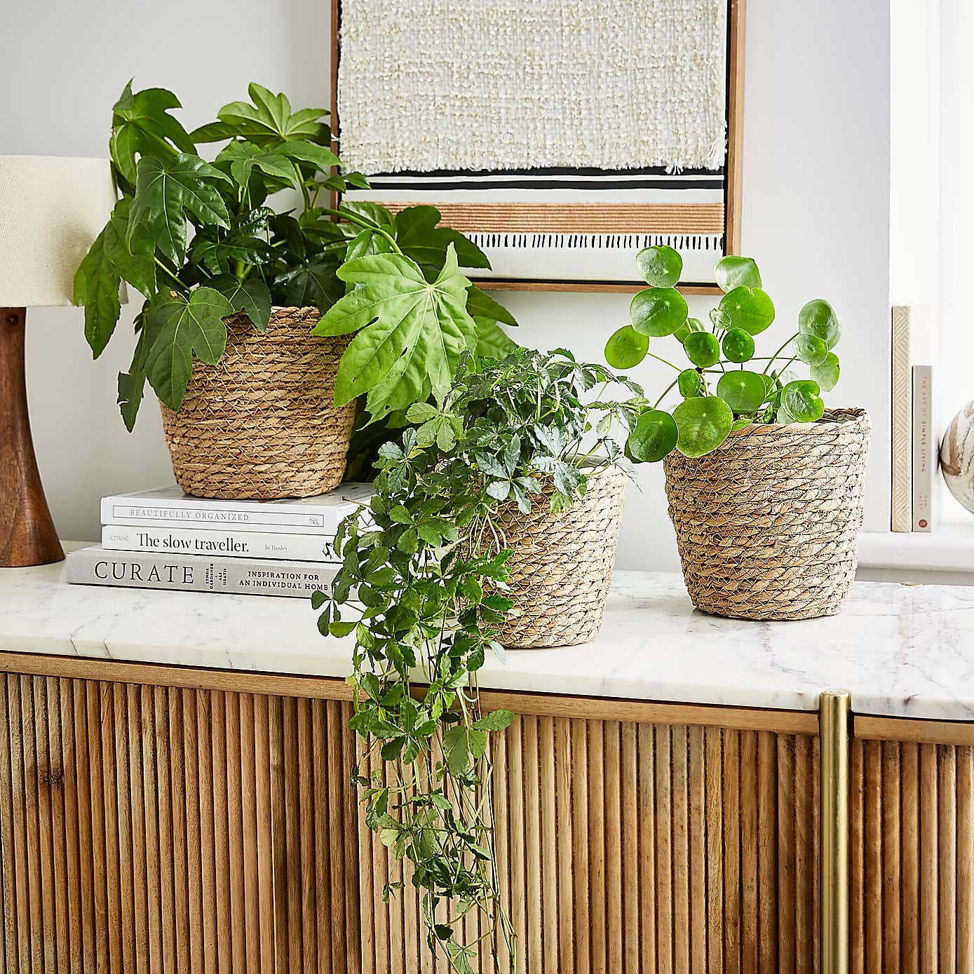 Set of 3 Woven Plant Pots