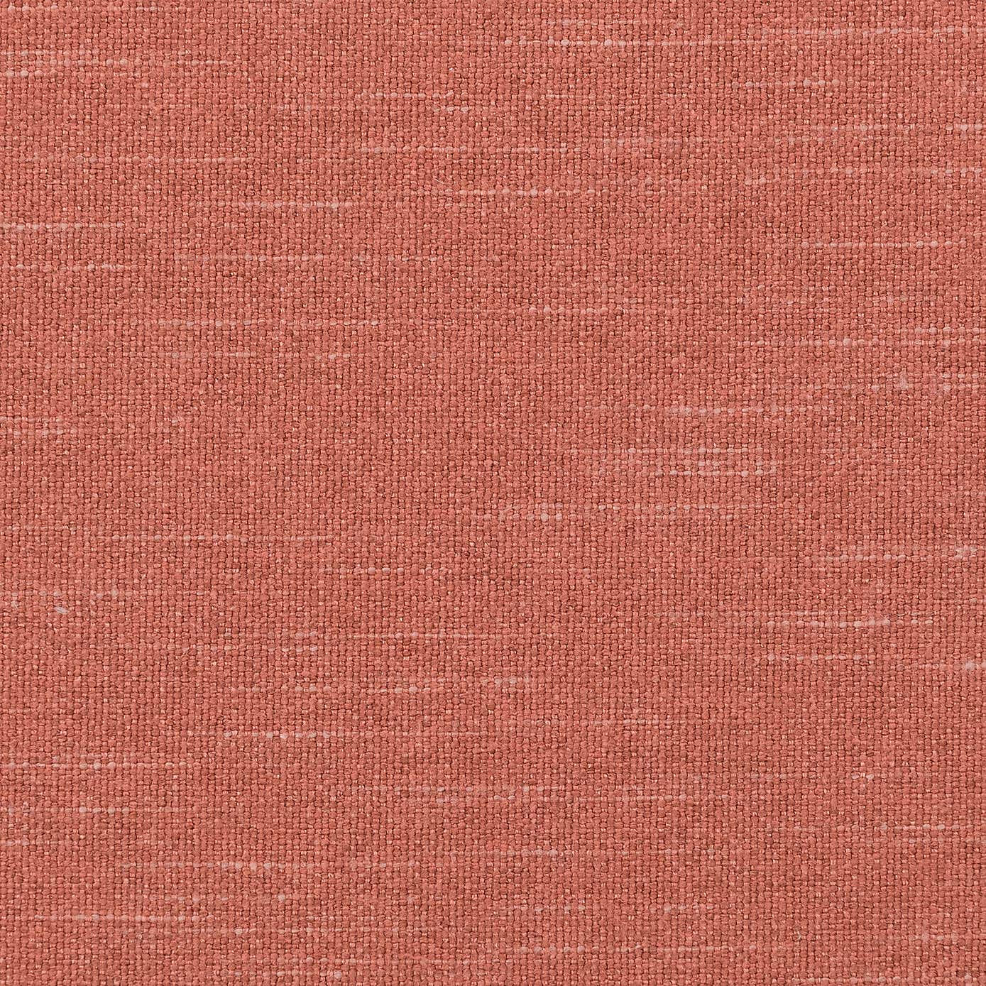 Calista Roman Blind