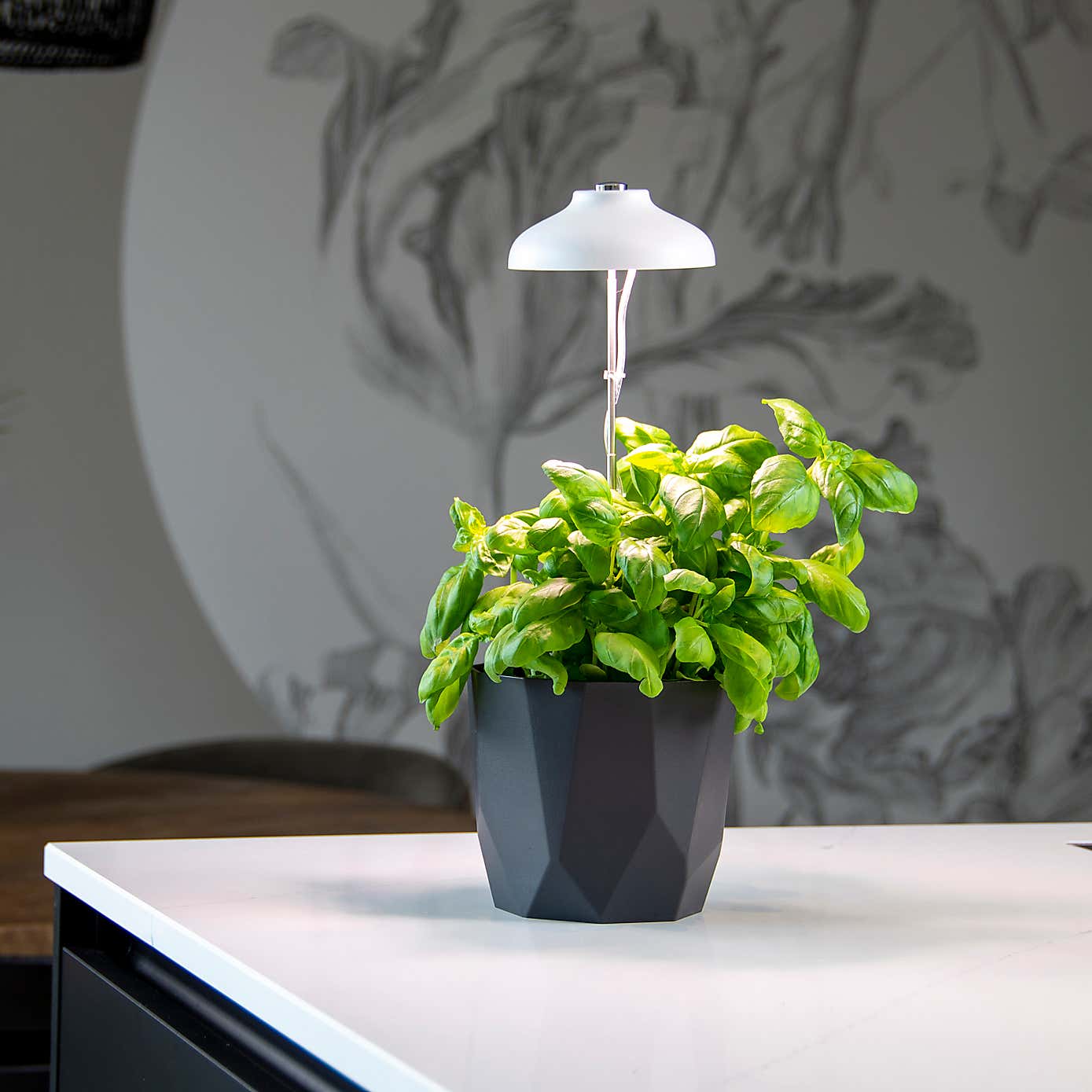 Fallen Fruits White Plant Grow Lamp