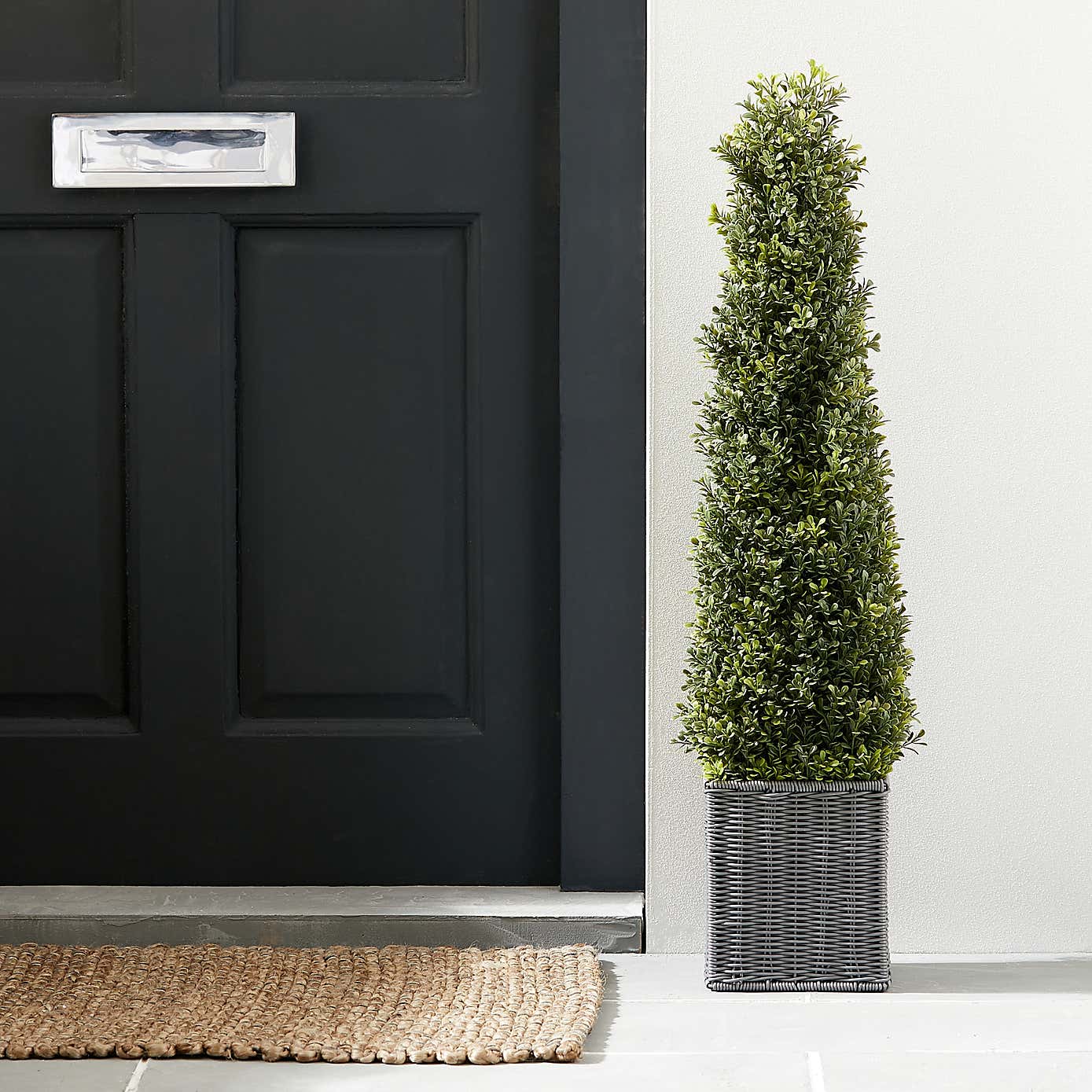 Boxwood Cone Tree 90cm