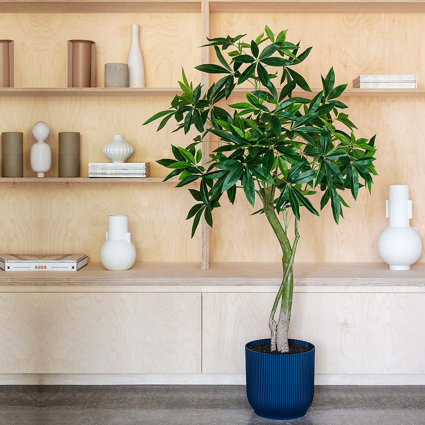 Artificial Money Tree