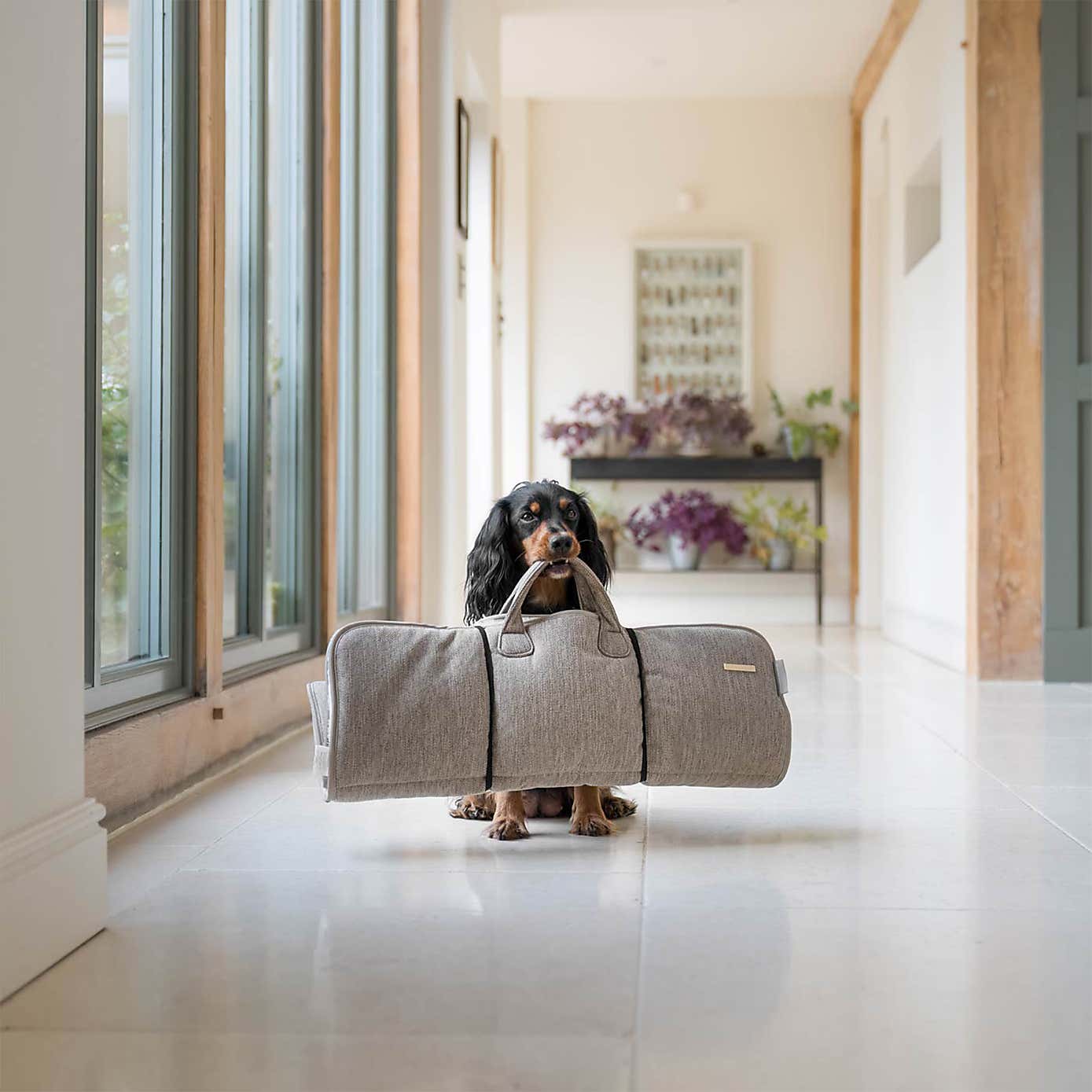 Lords and Labradors Pet Roll and Go
