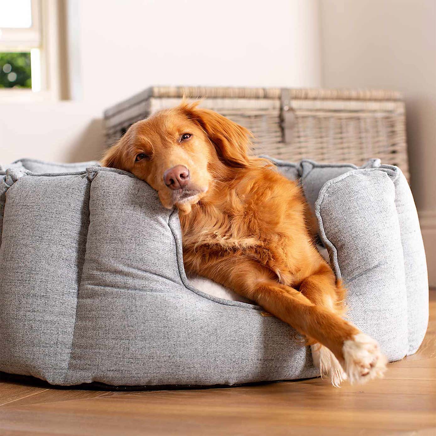 Lords and Labradors Inchmurrin High Wall Dog Bed