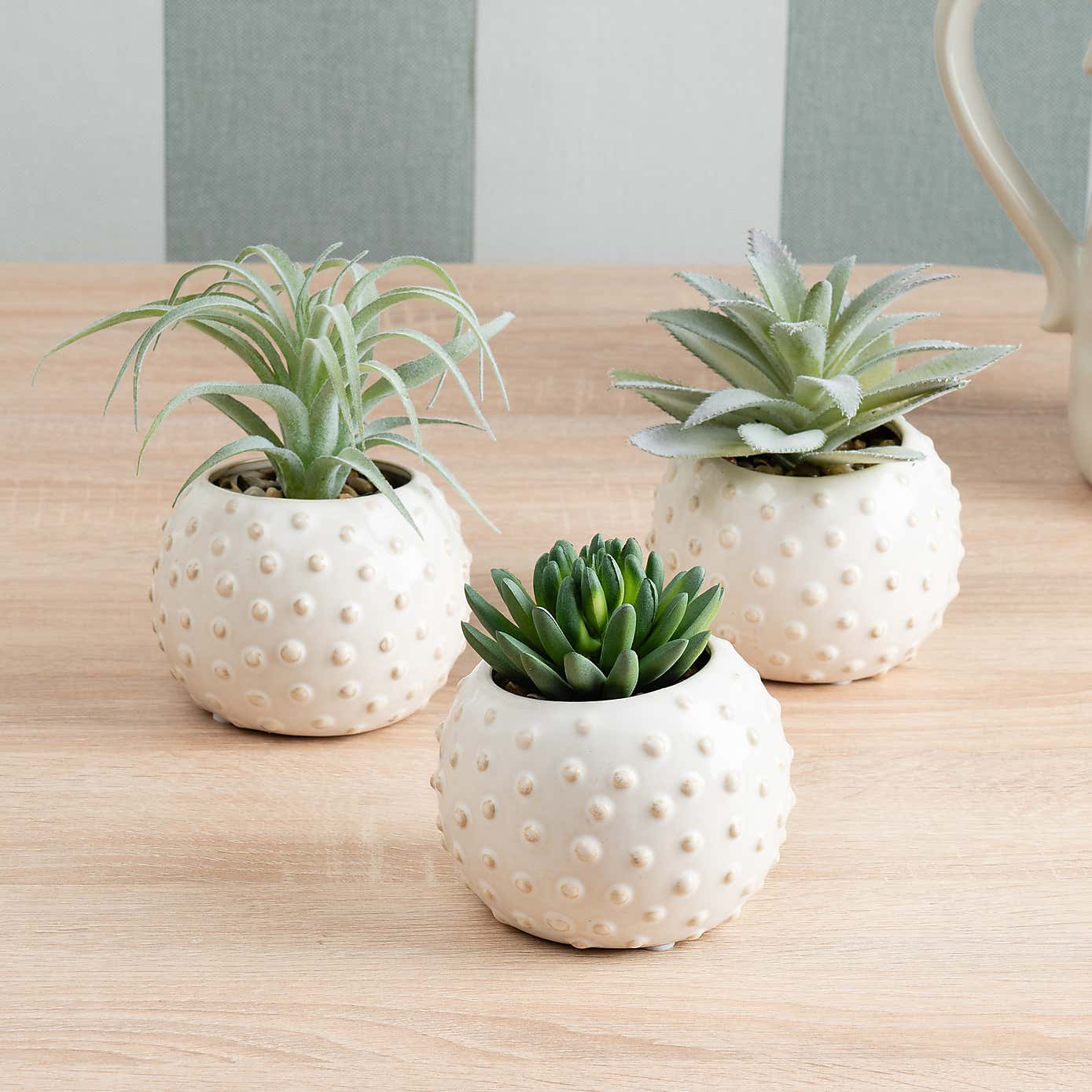 Set of 3 Artificial Succulents