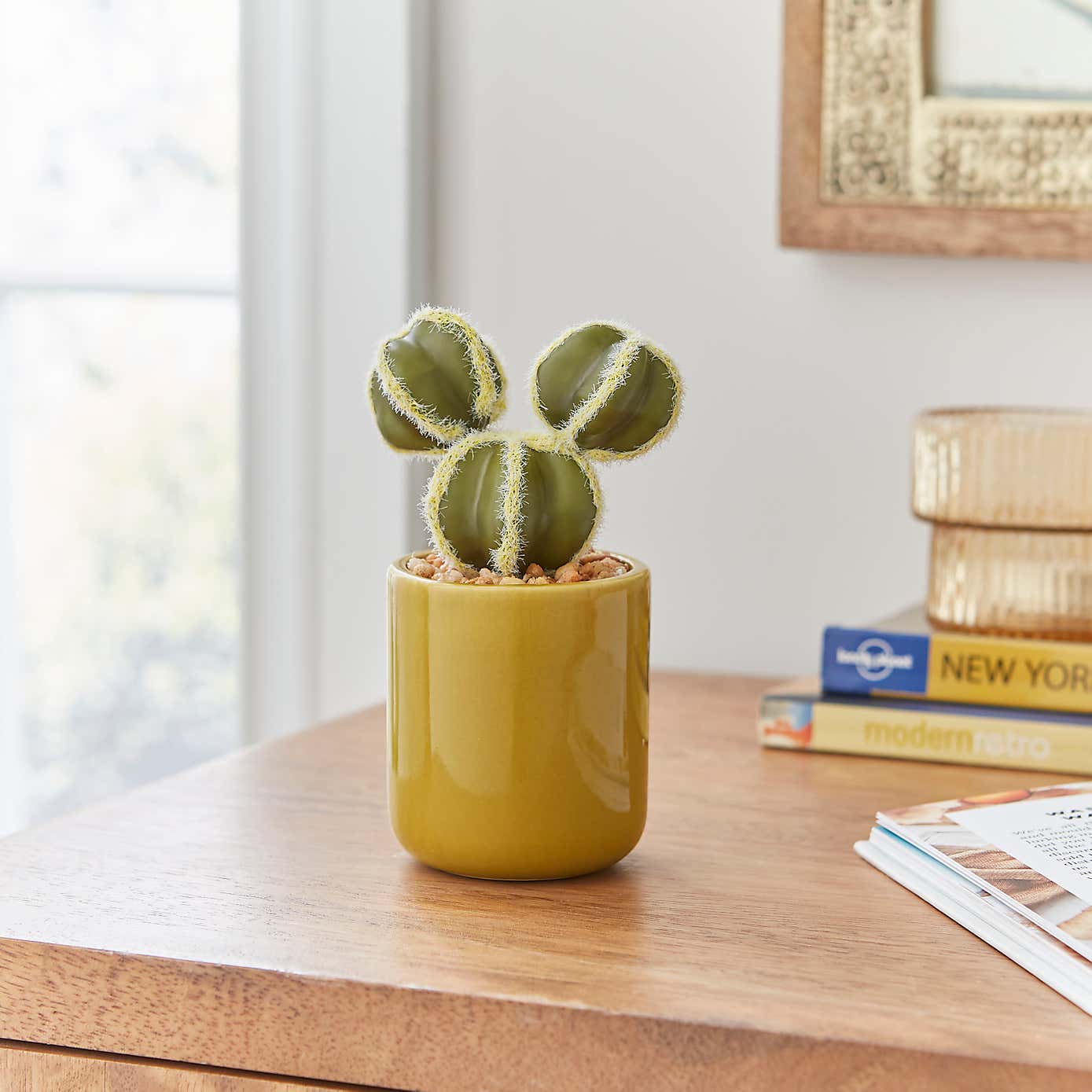 Sunbeam Cactus in Ceramic Pot
