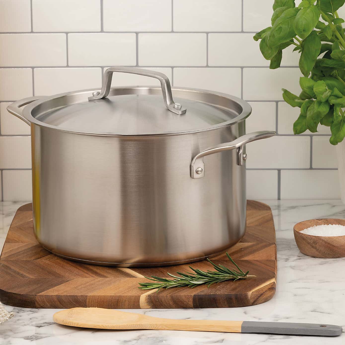 Gourmet Stainless Steel Stockpot with Lid, 24cm
