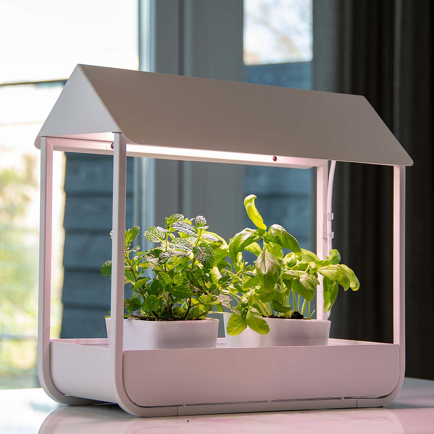 Fallen Fruits Plant Cold Frame with Grow Lamp