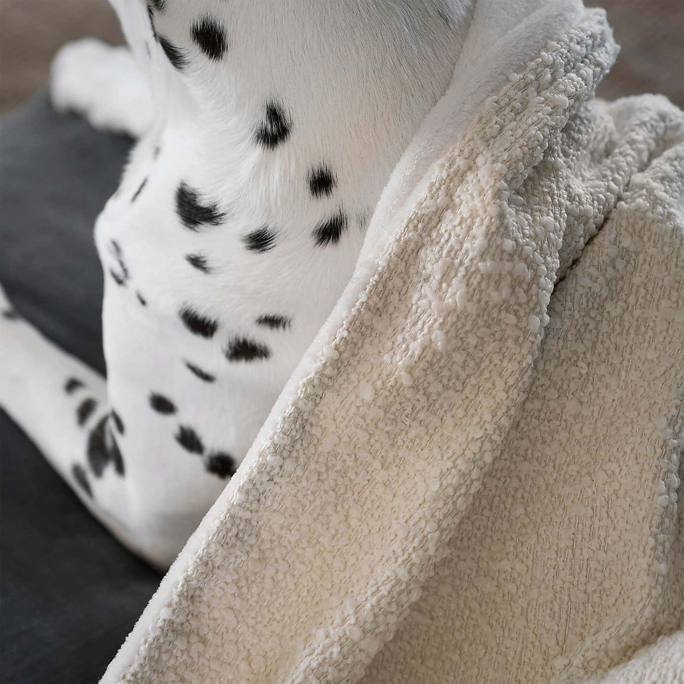 Lords and Labradors Boucle Dog Blanket