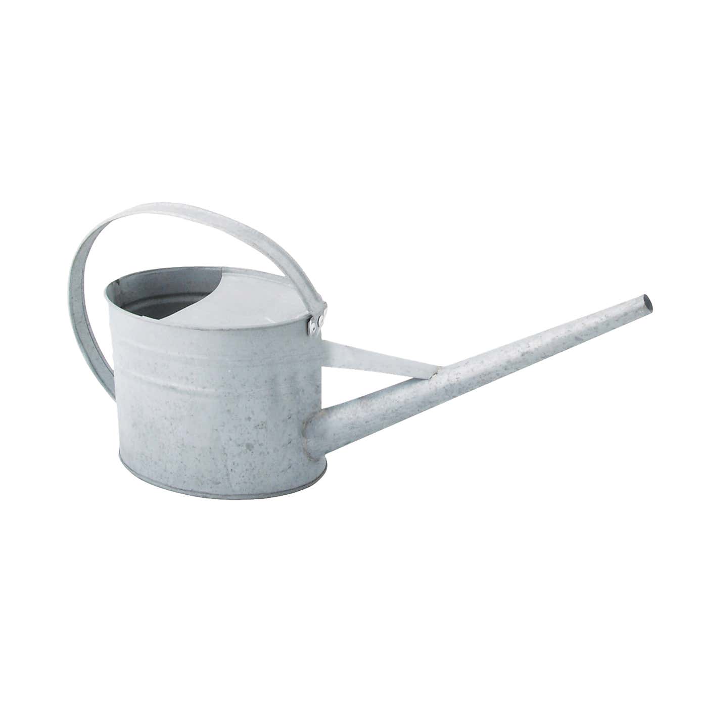 Fallen Fruits Indoor Watering Can