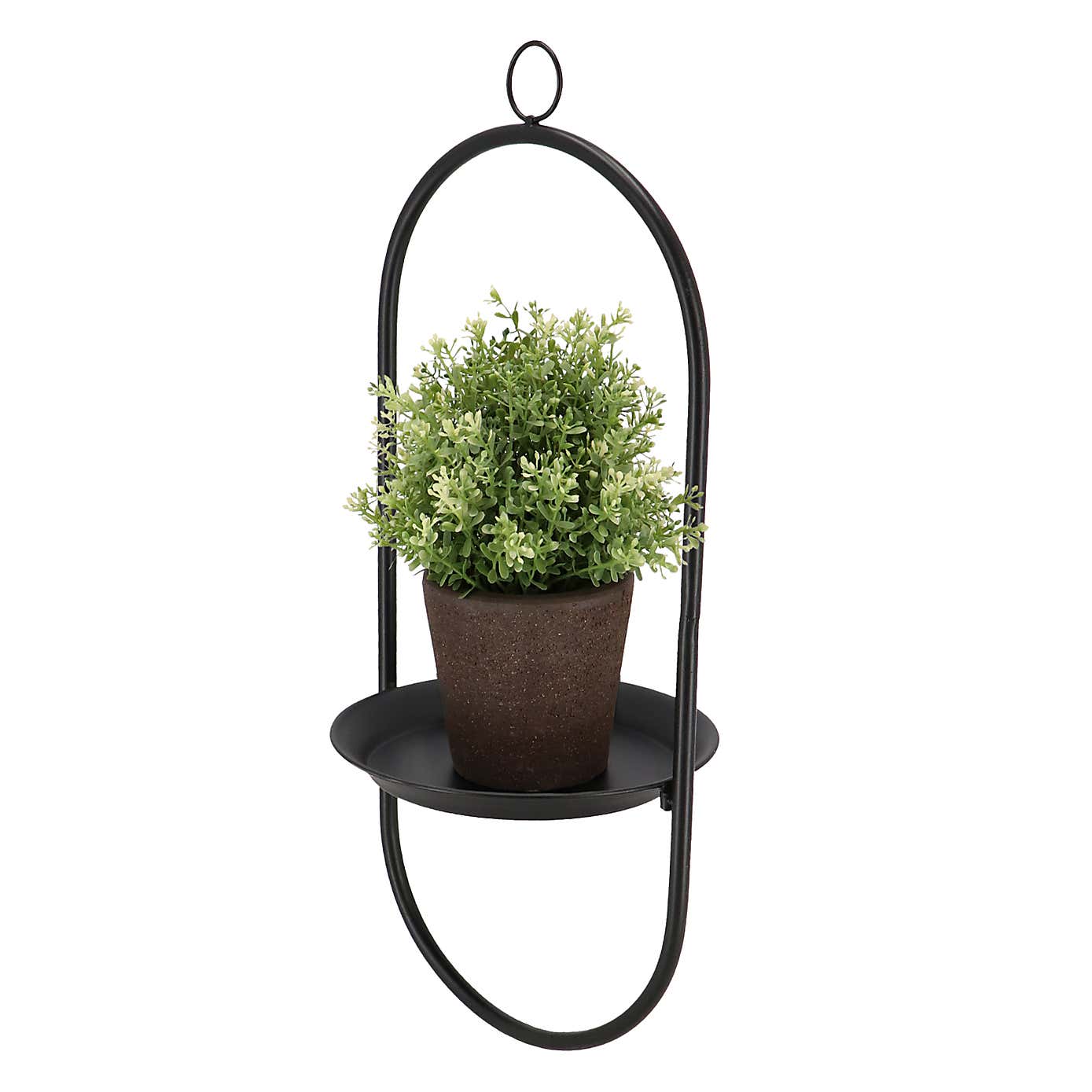 Fallen Fruits Hanging Plant Tray