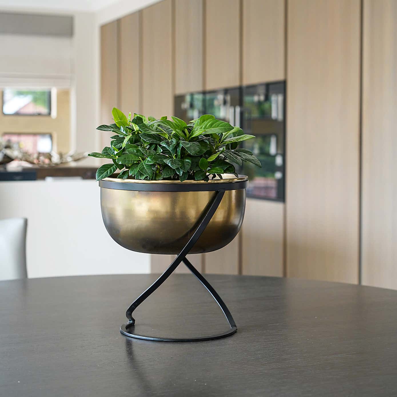 Kensington Wide Brass Metal Round Plant Pot With Stand