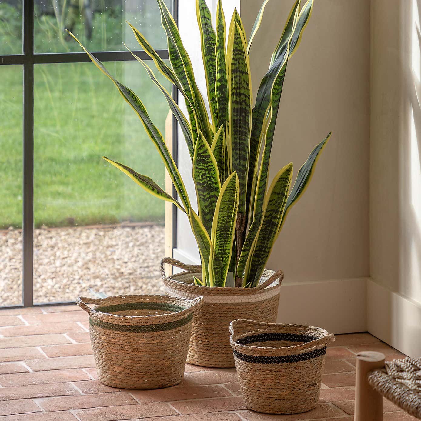 Artificial Sansevieria in Black Plant Pot