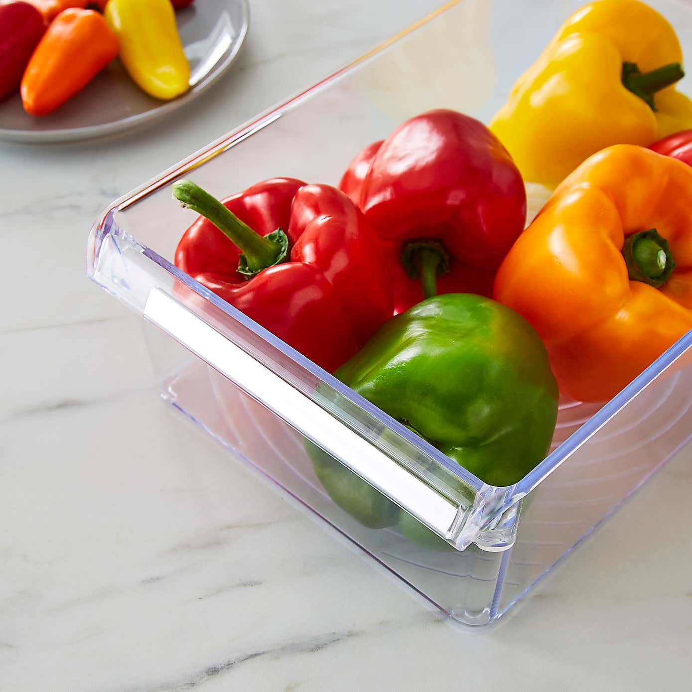 Fridge Storage