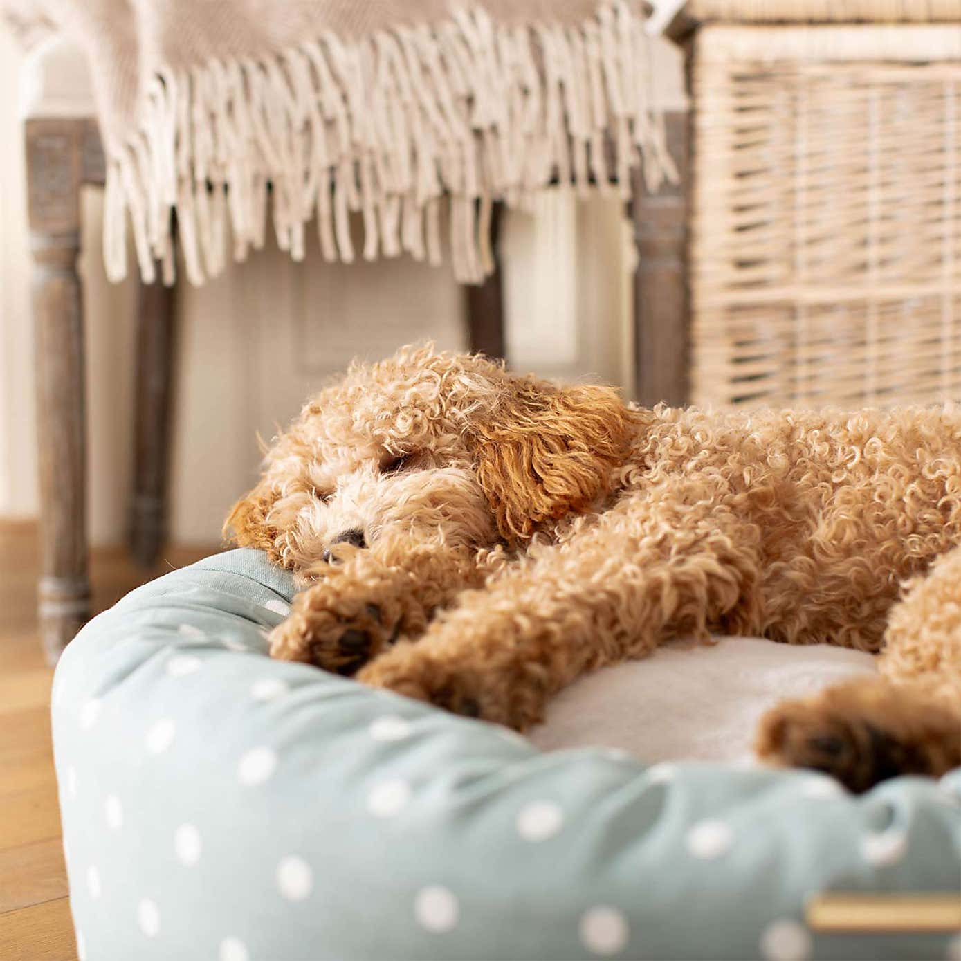 Lords and Labradors Spotty Donut Dog Bed