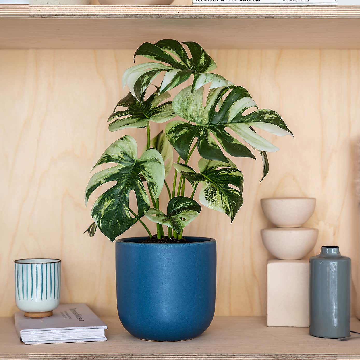 Artificial Variegated Monstera