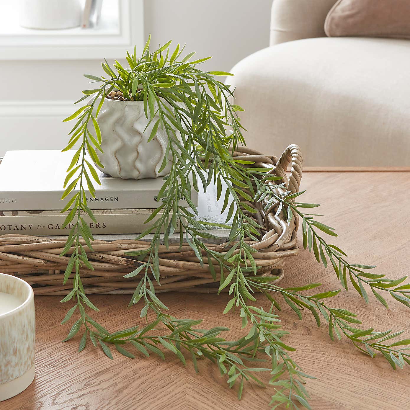 Oceanscape Trailing Plant in Organic Pot Ivory