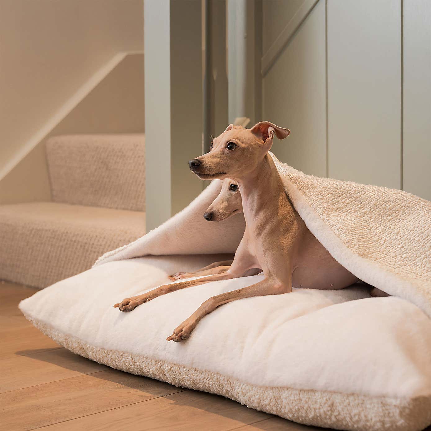 Lords and Labradors Boucle Sleepy Burrow Dog Bed