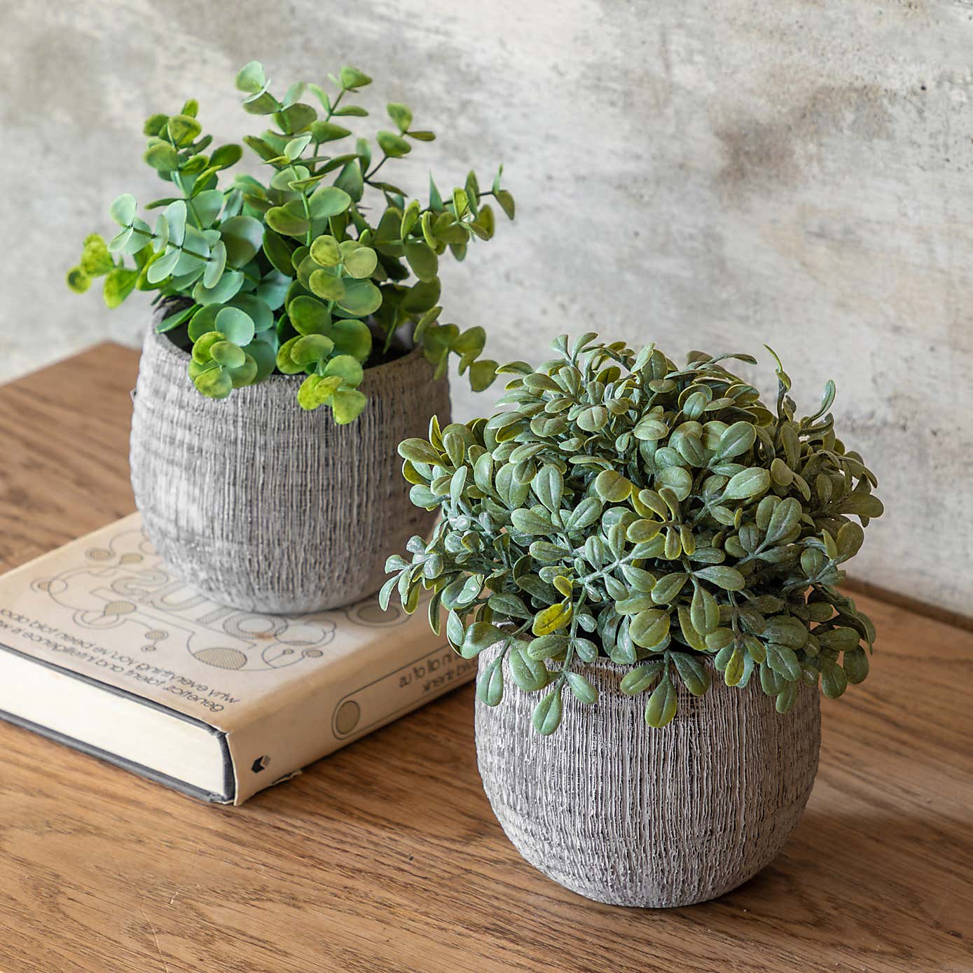 Set of 2 Artificial Sage Plants in Ceramic Pots
