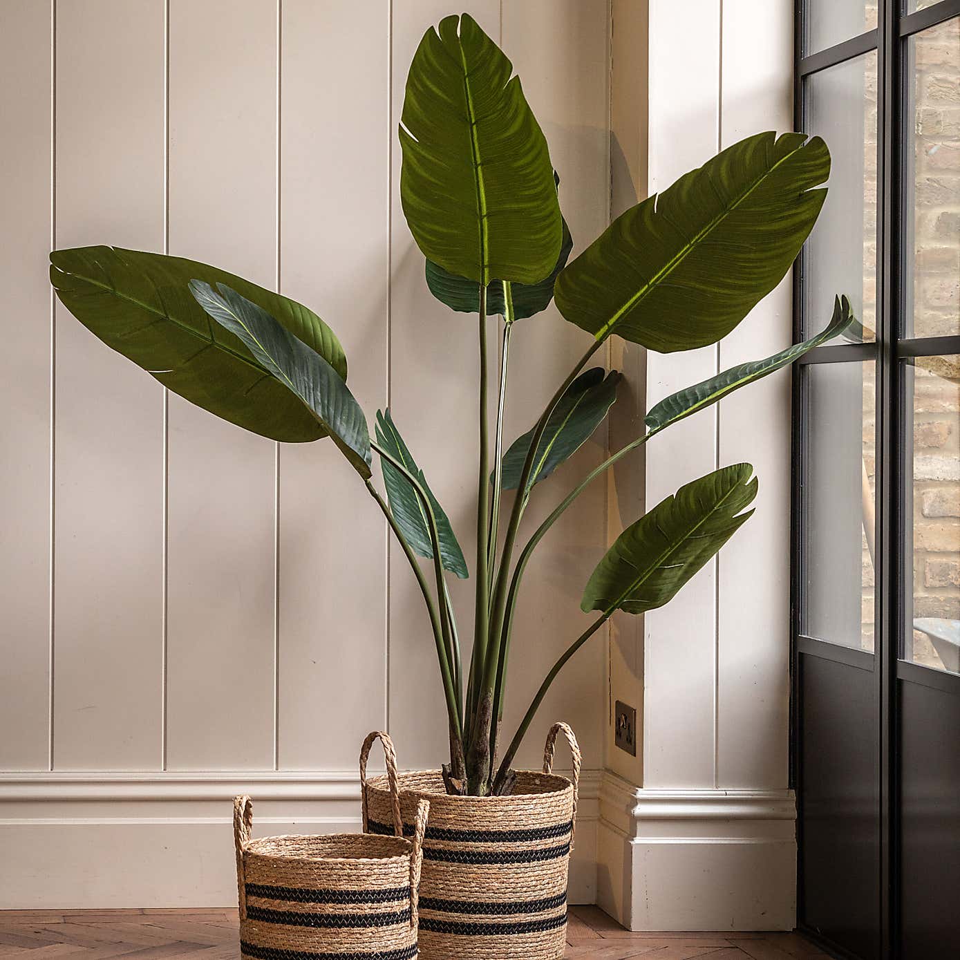 Artificial Small Travellers Palm Tree in Black Plant Pot