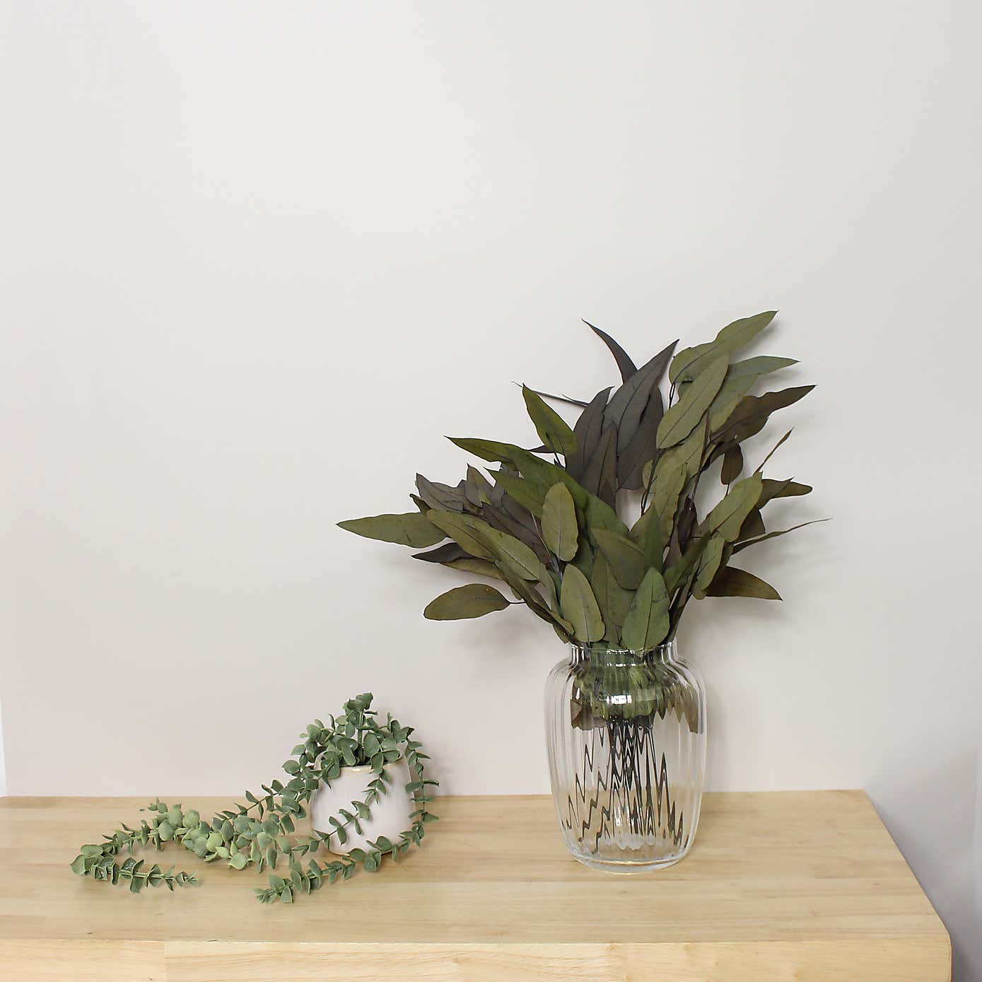 Preserved Eucalyptus Bundle
