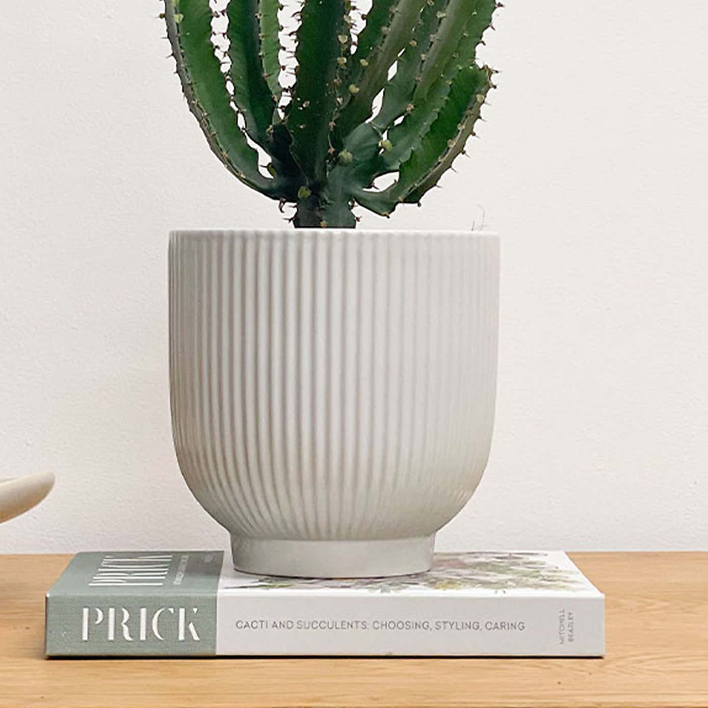 Beards and Daisies Ribbed Ceramic Plant Pot