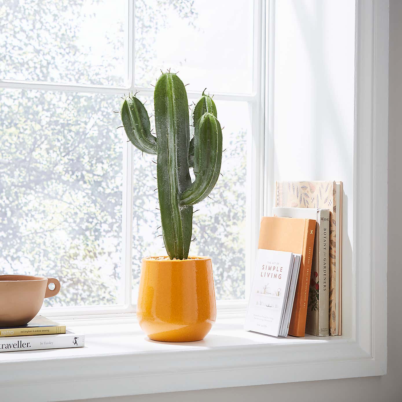 Sunbeam XL Cactus in Ceramic Pot