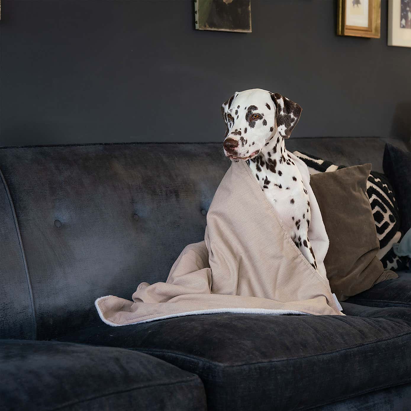 Lords and Labradors Savanna Dog Blanket