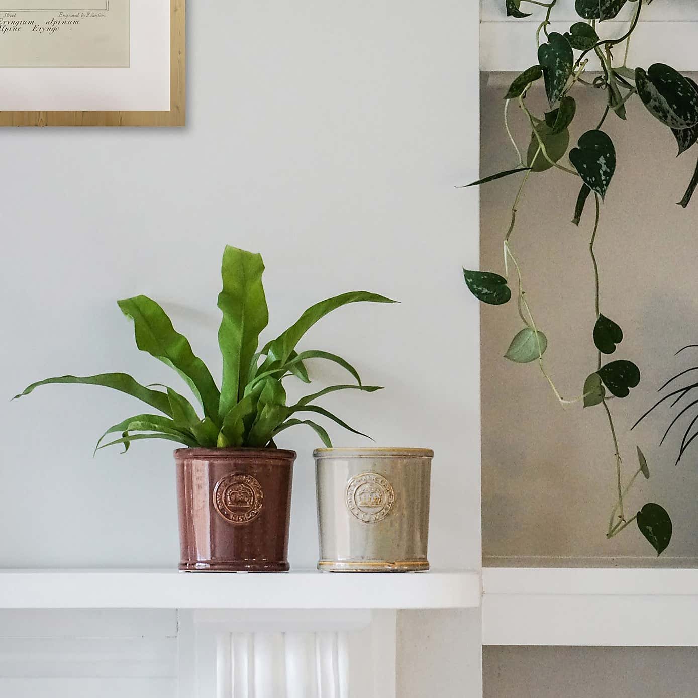 Kew Reactive Glaze Planter