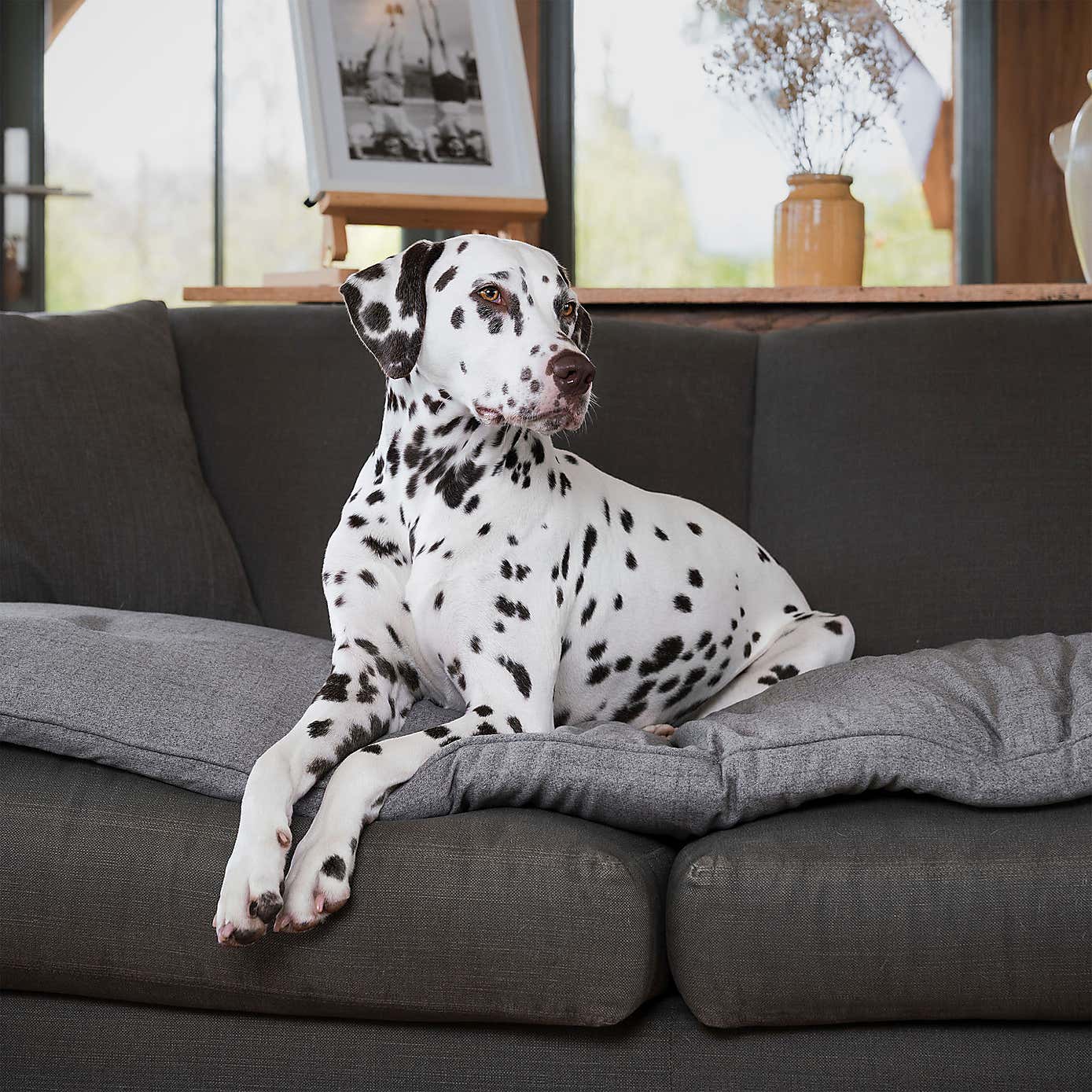 Lords and Labradors Inchmurrin Pet Sofa Topper