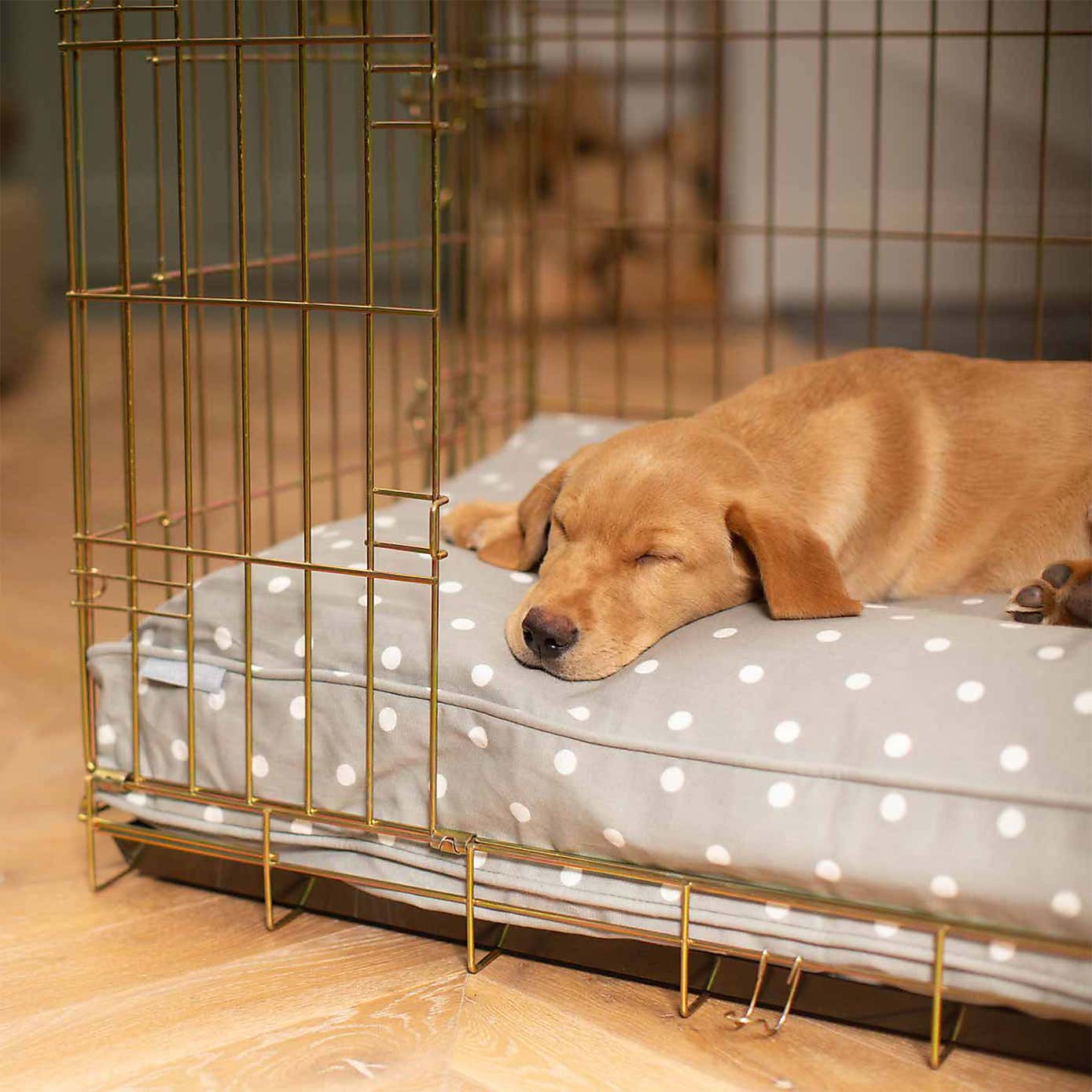 Lords and Labradors Spotty Dog Cushion