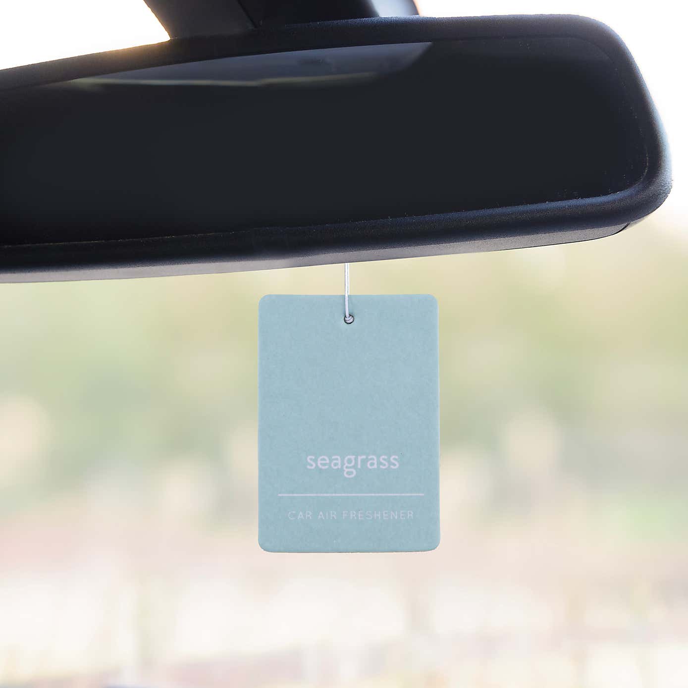 Pack of 2 Car Air Fresheners, Seagrass