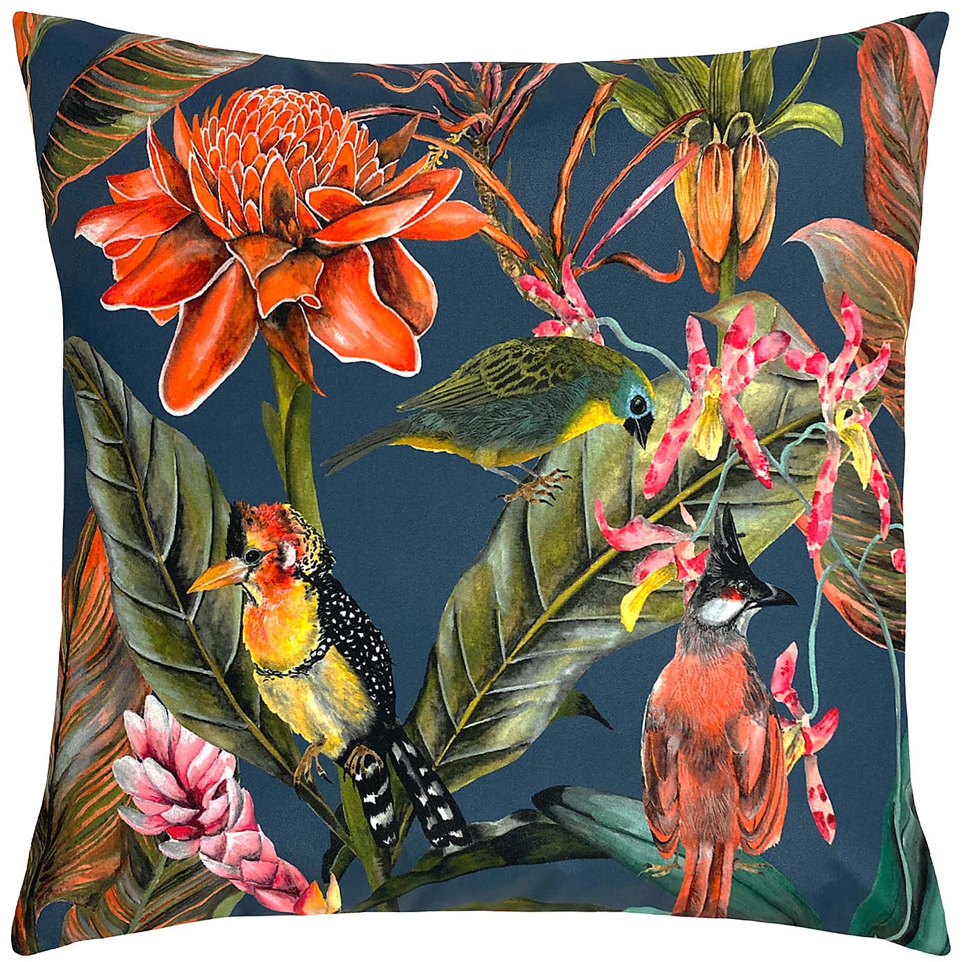 Exotics Outdoor Cushion
