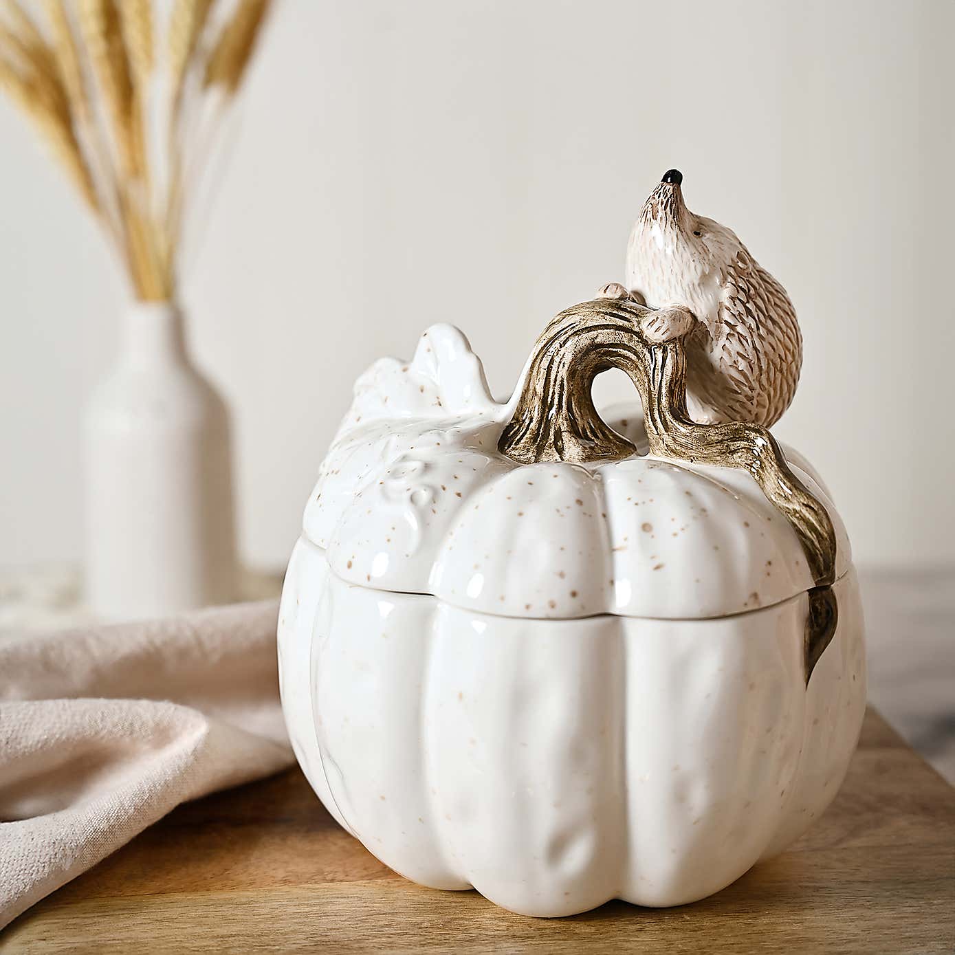 Country Living Ceramic Hedgehog Storage Pot