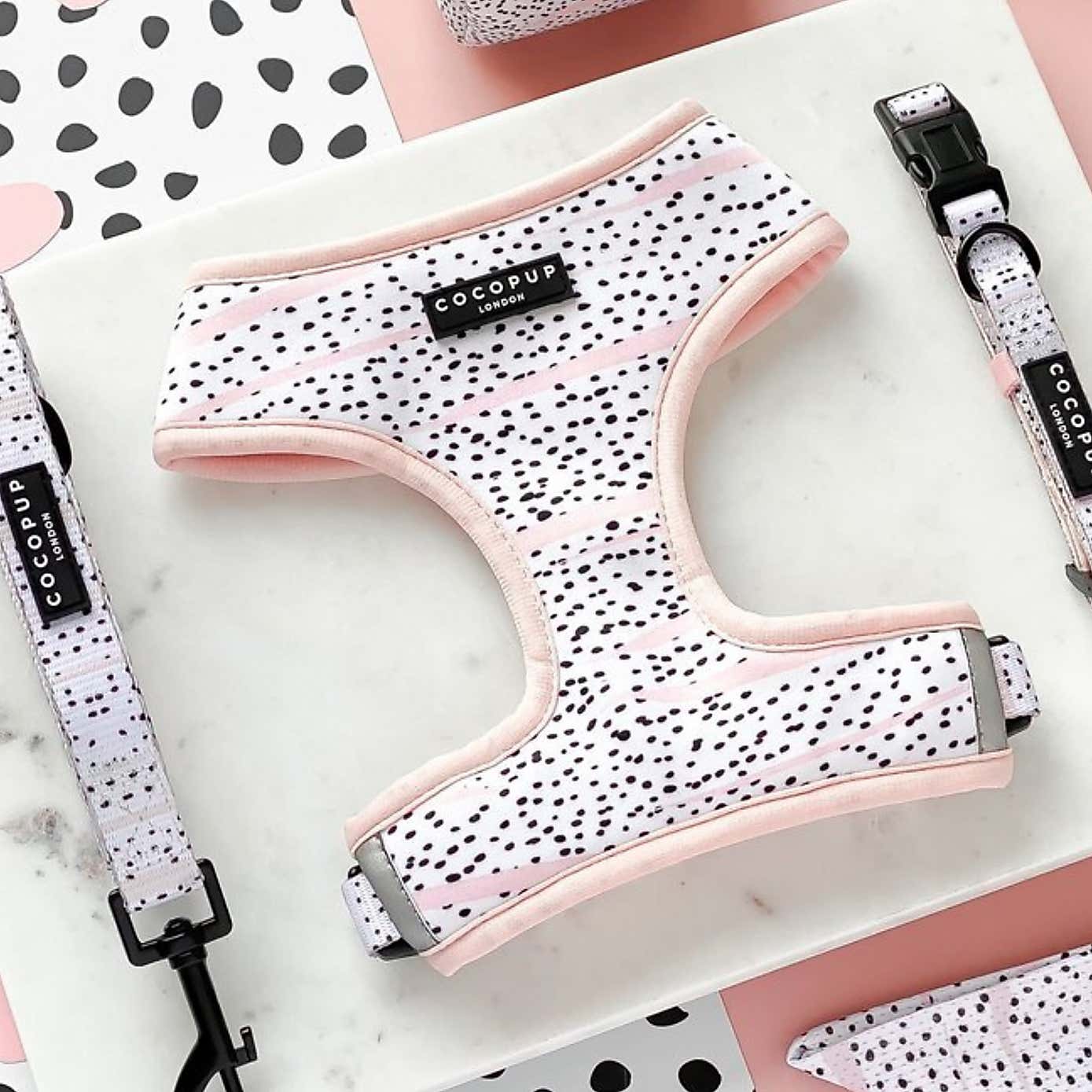 Cocopup Dalmatian Collar and Lead