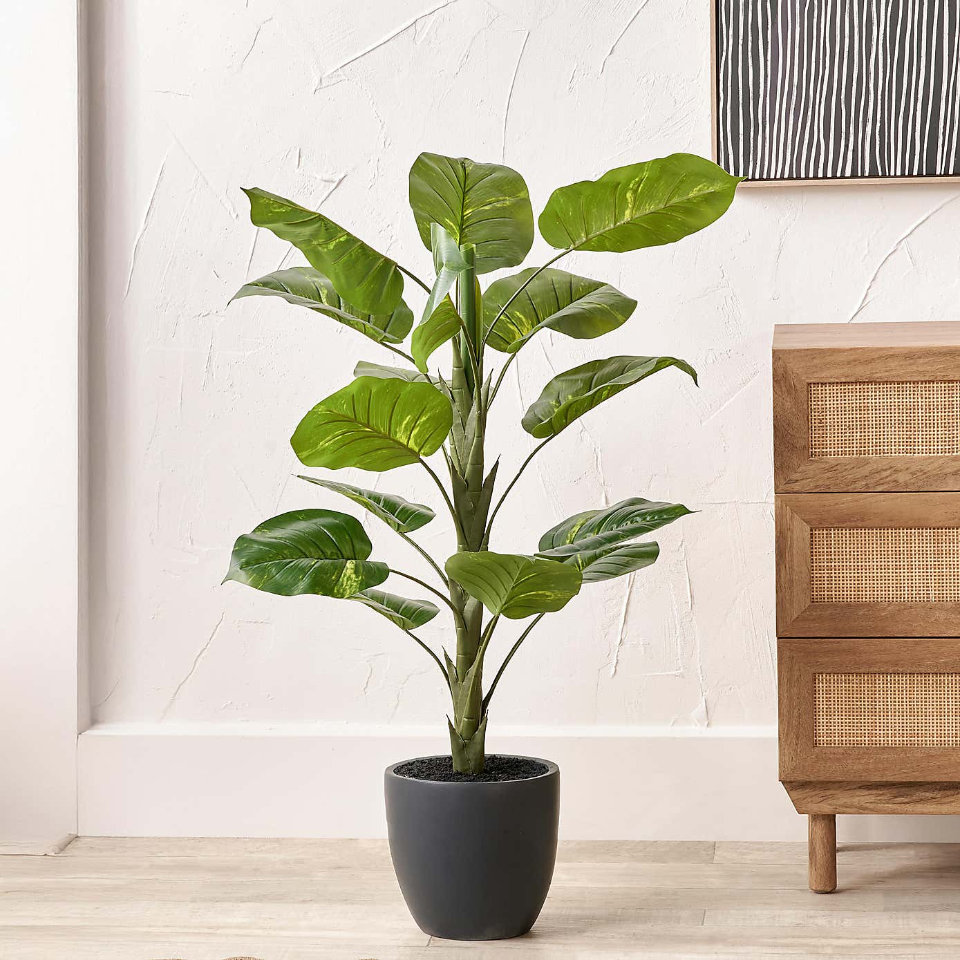 Artificial Elephant Ear Plant in Grey Plant Pot